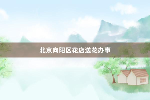 北京向阳区花店送花办事