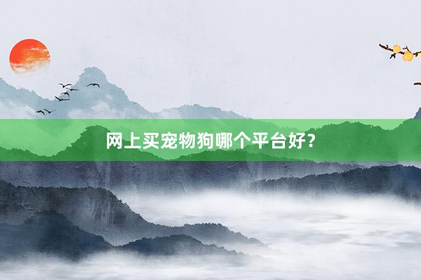 网上买宠物狗哪个平台好？