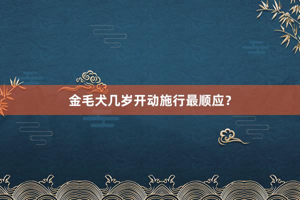 金毛犬几岁开动施行最顺应？